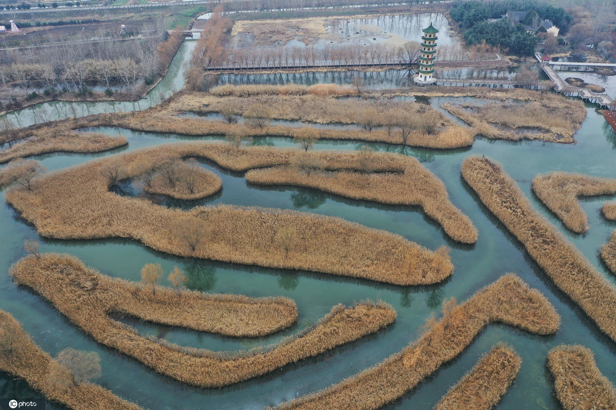 江苏盐城:芦荡迷宫景色迷人 是中国最大水上芦苇迷宫