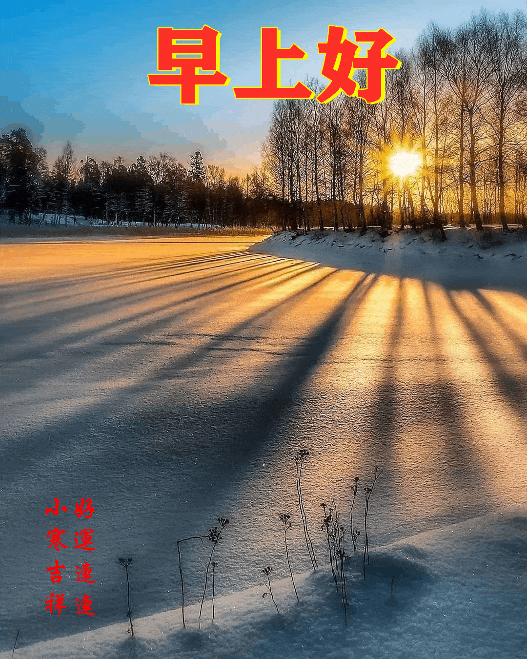 今日小寒把最美好的祝福送给您