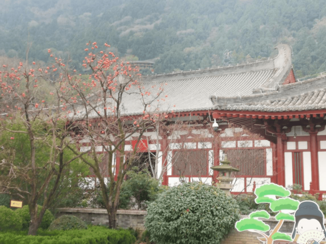 我校持续深化产教融合,旅游系"两周一景"教学模式之华清宫_骊山