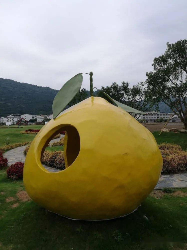 马站四季柚主题公园