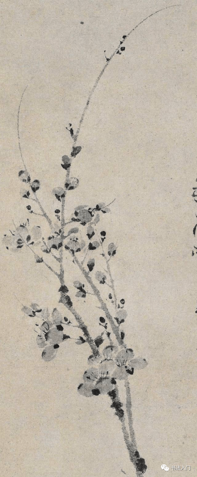 小寒|古人一枝梅花香_墨梅