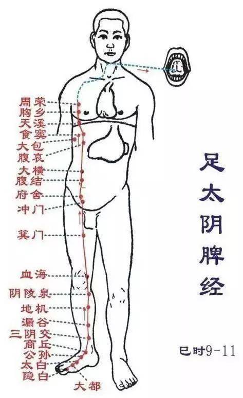 半夜容易醒是这里堵住了14条经络阻塞后的表现你一定要知道