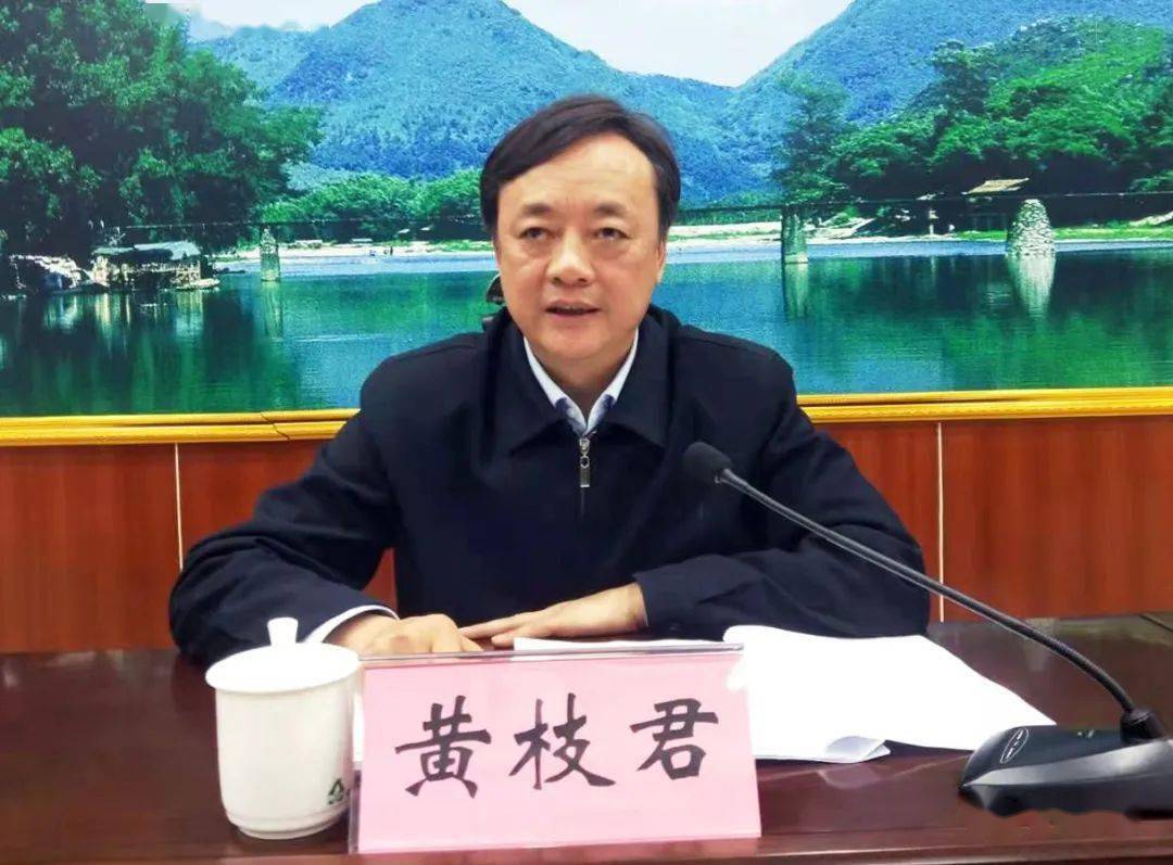县长黄枝君,县委常委,常务副县长骆骁及相关单位人员在我县
