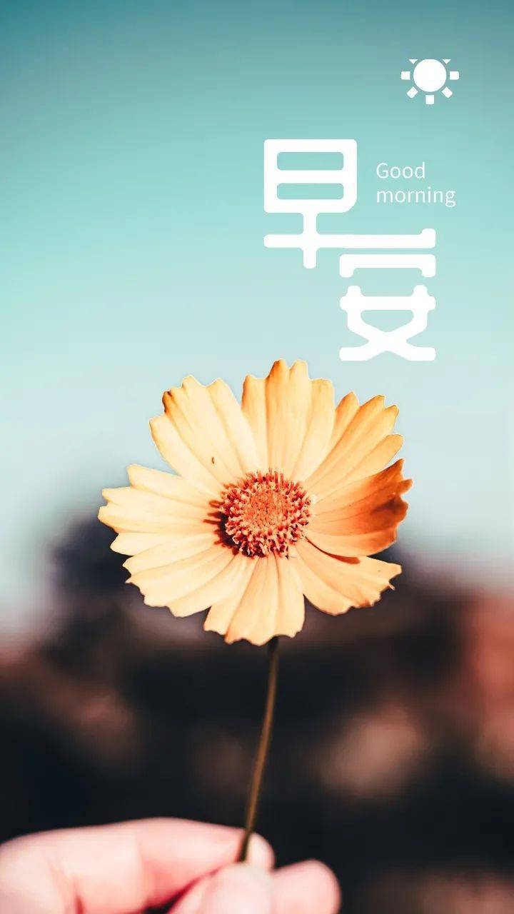 朋友圈早安晚安语录图片 早安晚安语录励志