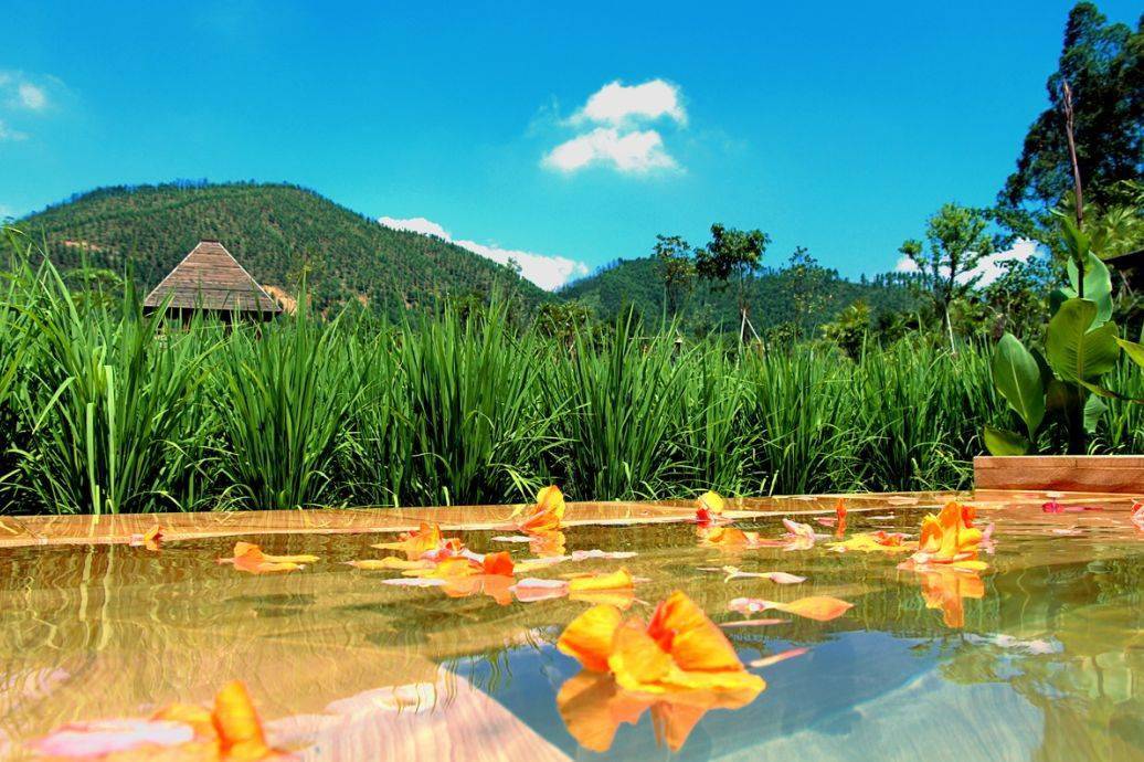 周末活动| 这场活动参加者均有好礼相送,更重要的是……_泉林