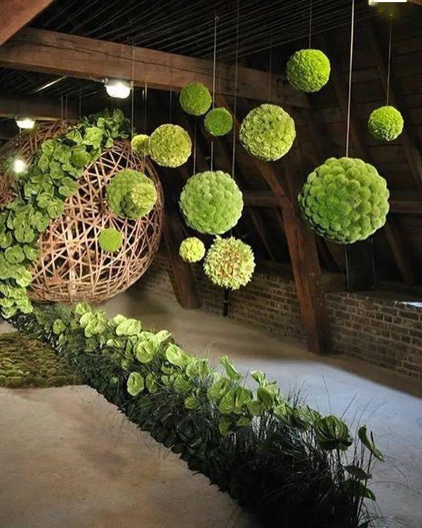 开眼了,苔藓原来还能这么玩!_植物