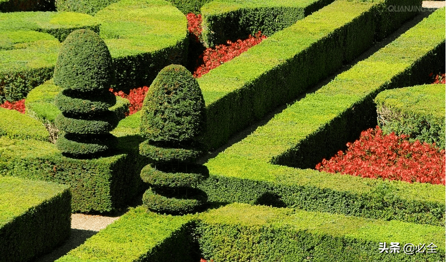 防范及围护绿篱的用途绿篱是绿化园林中最常用的一种造景方式,应用