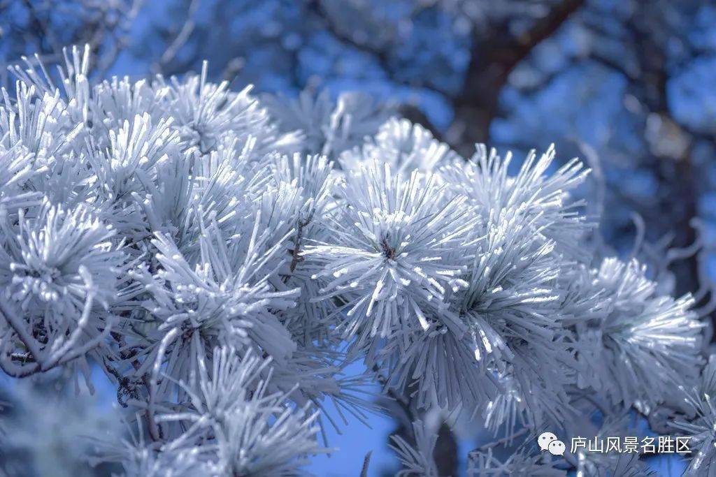 雾气沆砀图片