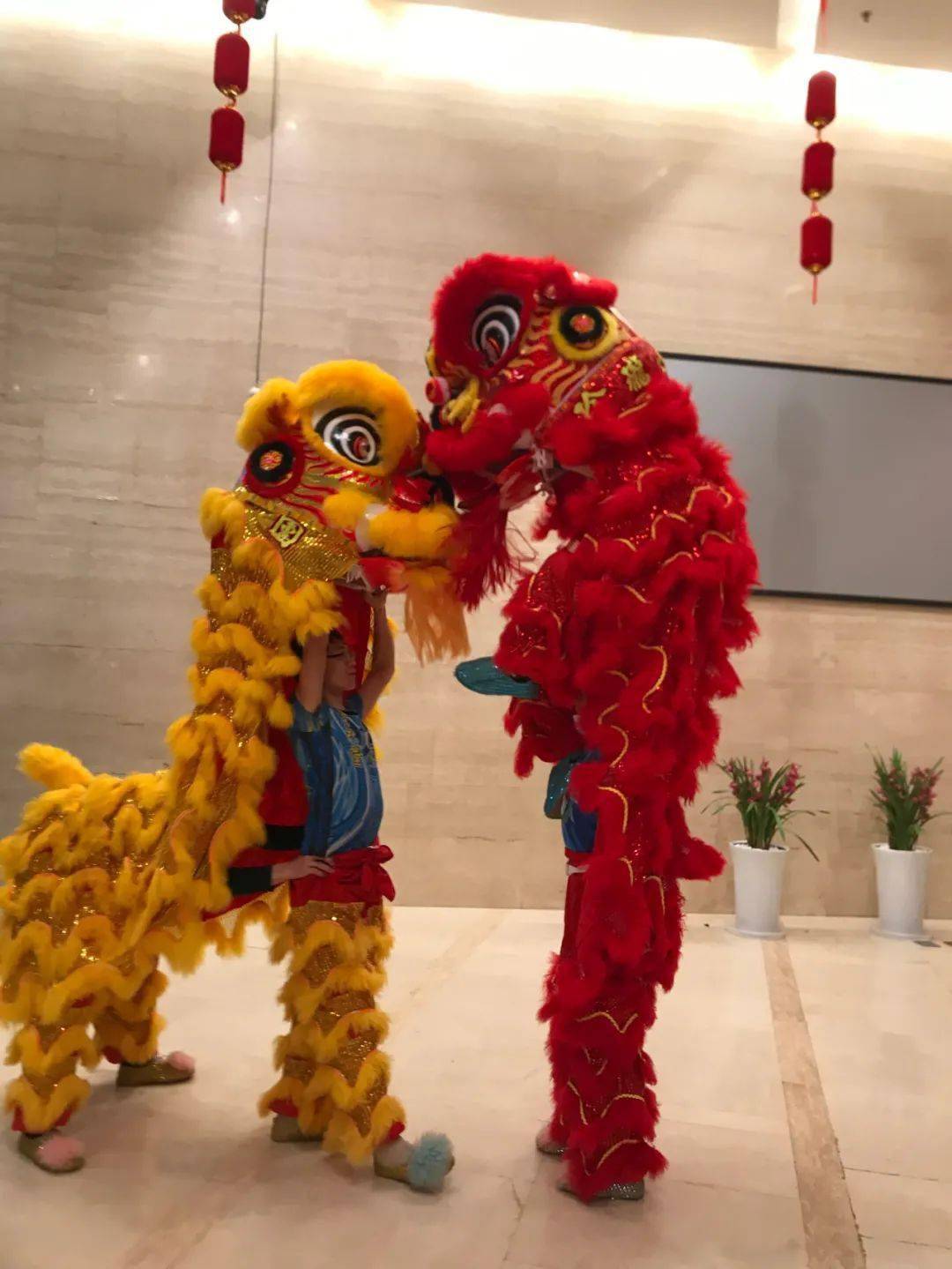 【宏达新闻】舞狮献瑞 福兆新年——江南物业贺岁活动气氛热烈