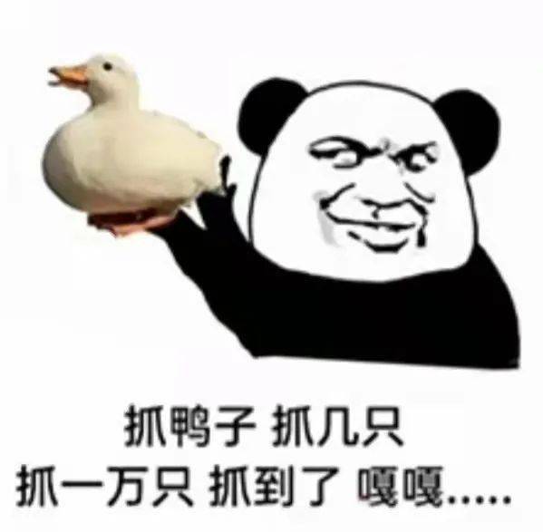 寒潮来袭不要怕,听一波rap暖起来!