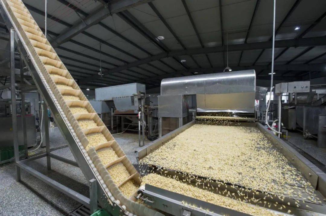 "豆芽哥"李银州&初心