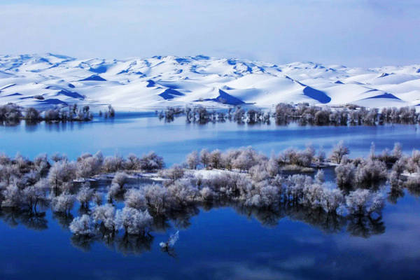 大漠胡杨扎根瀚海仰晴空三千岁月笑从容