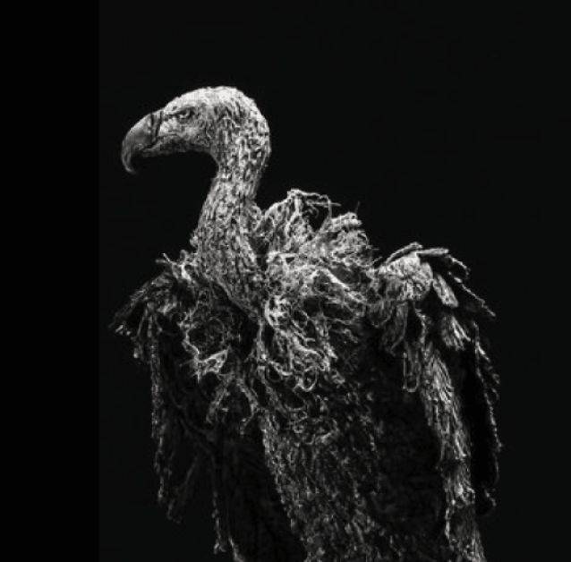 来选一只暗黑系动物就知道 →_黑暗