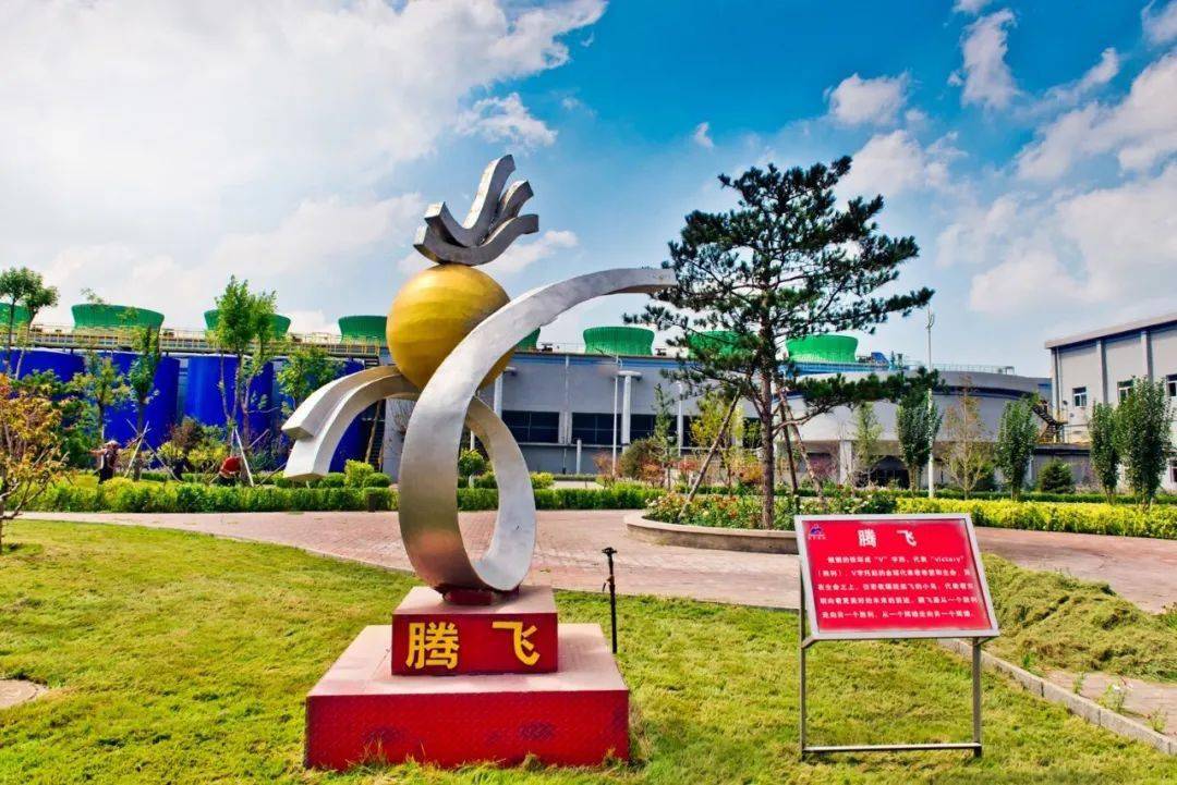 恭祝东华钢铁荣膺2020绿色发展领军企业