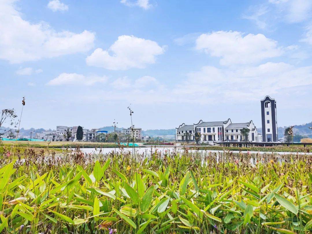 冬天去哪儿玩去苍海国家湿地公园领略大自然的生态风光