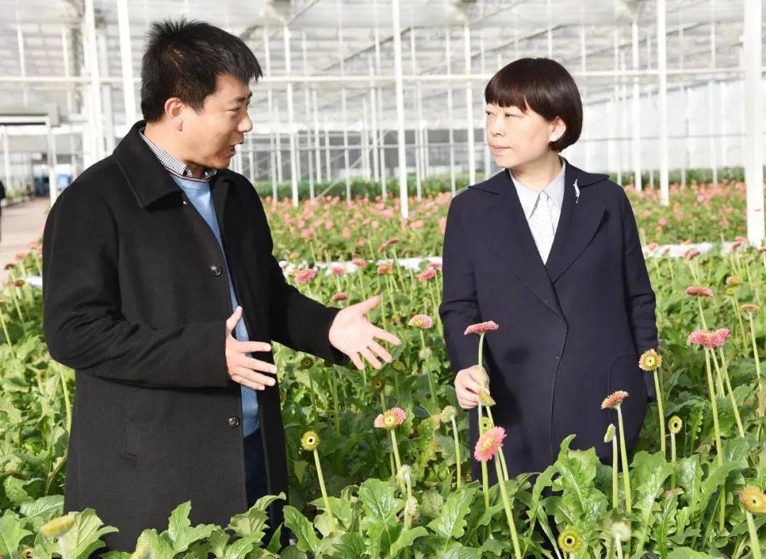 浦虹到古城区调研表示与大家一起努力多为群众做实事