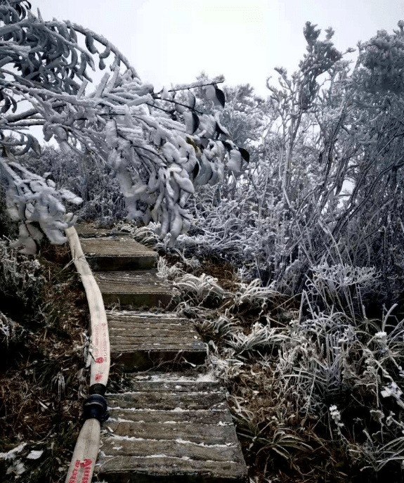 罗浮山结冰图片