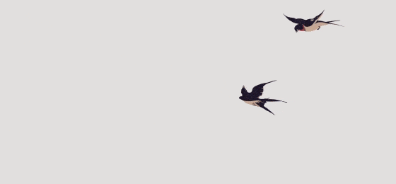 dunhill 登喜路 | 新燕礼献中国新年 - 拷贝 - 拷贝-搜狐大视野-搜狐