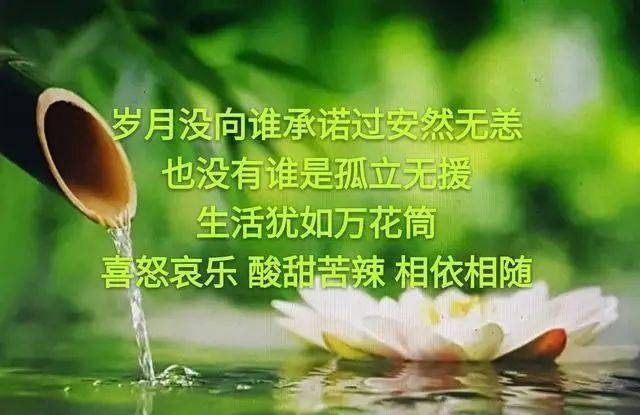 一朝一夕是日子,一起一落是人生