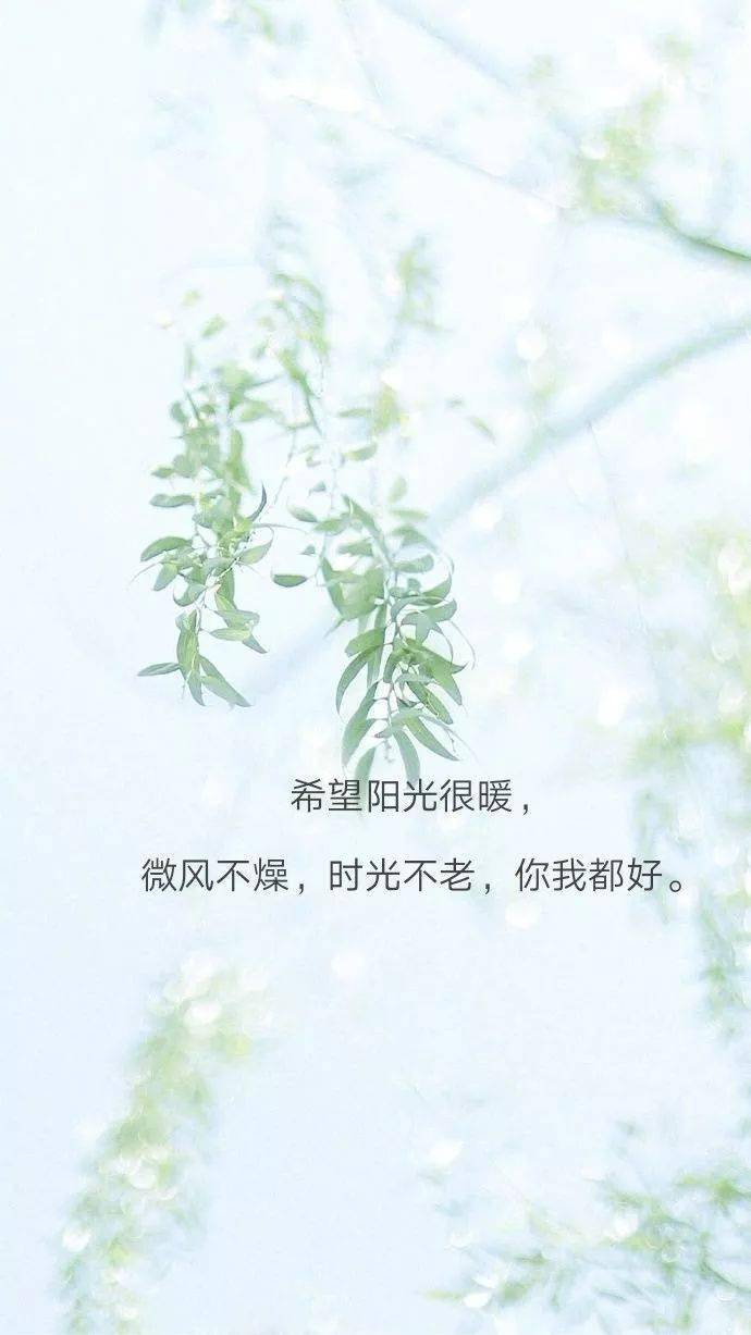 学会:浅喜欢,静静爱,深深思索,淡淡释怀.