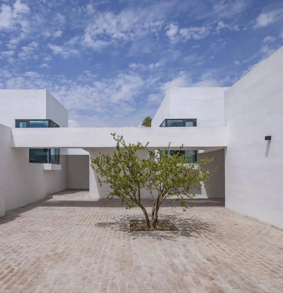 近期10家大热的极简民宿