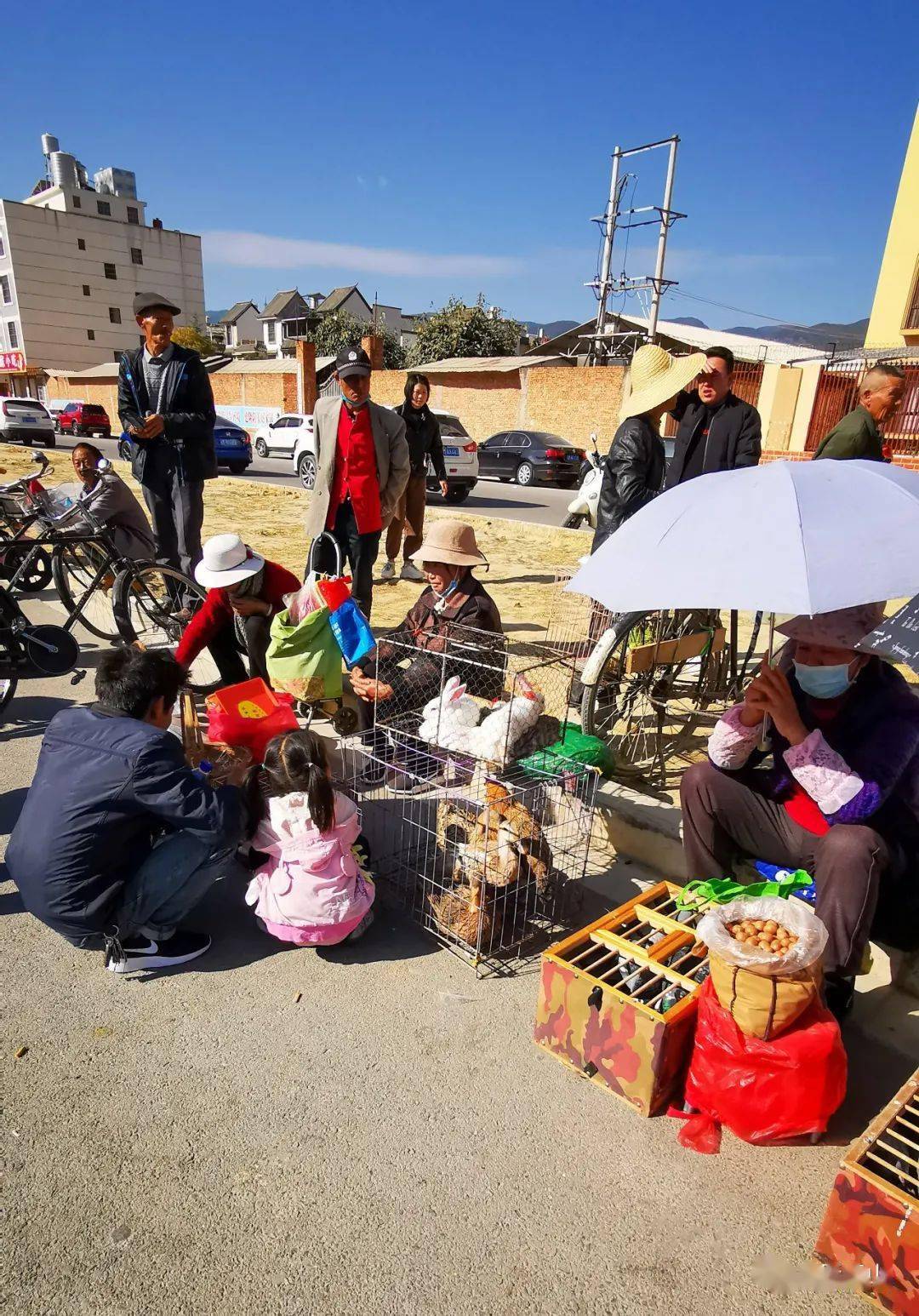 【百姓生活】2021年第010期 不赶农民街,你习惯吗?