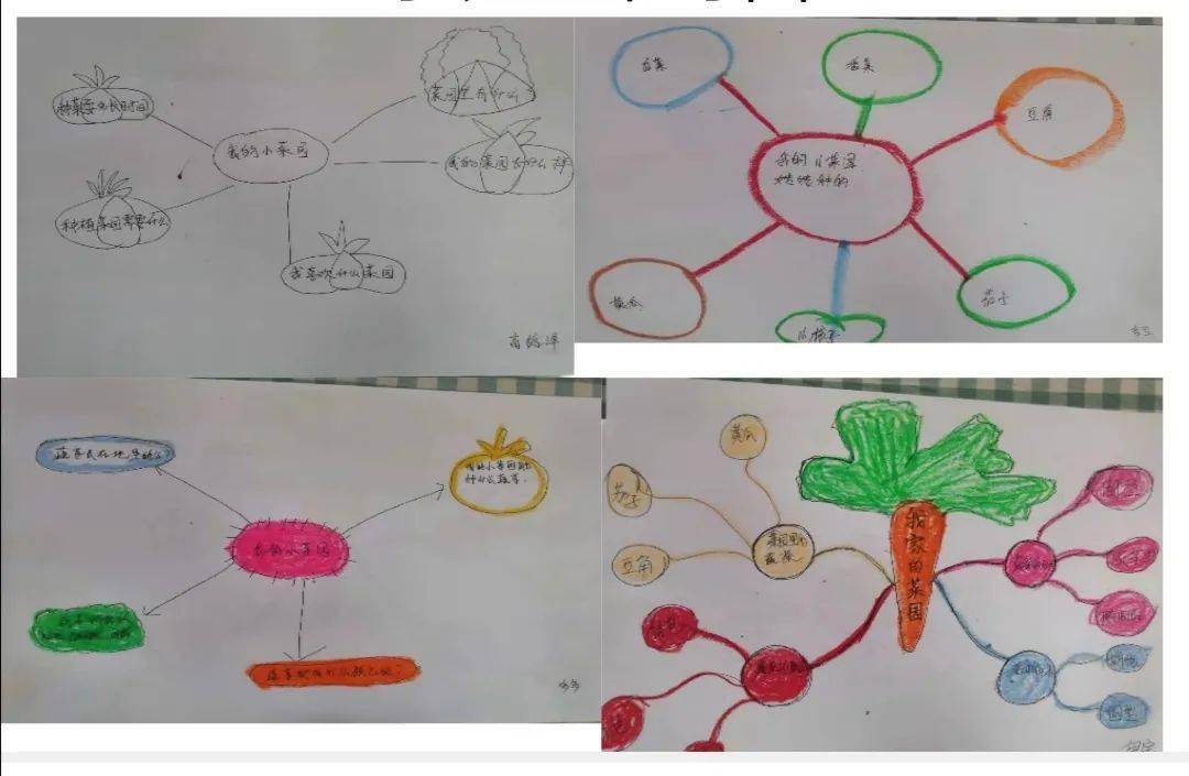 主题墙思维导图图片