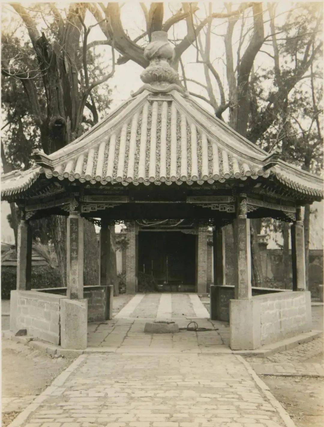 100年前的大量青州老照片流出,全部为日本人拍摄!