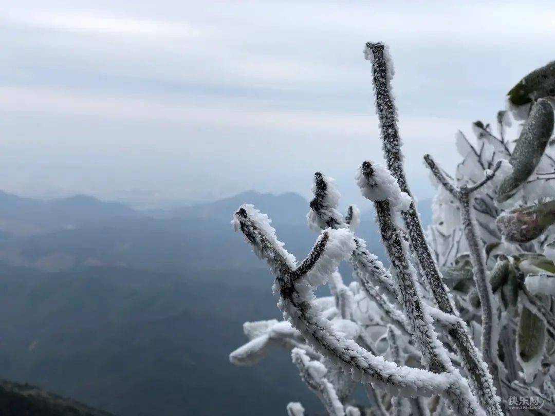 平天山恢复开园来邂逅一场雾凇美景