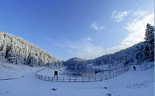 重慶的冬季,哪些山頭可以看雪?_金佛山