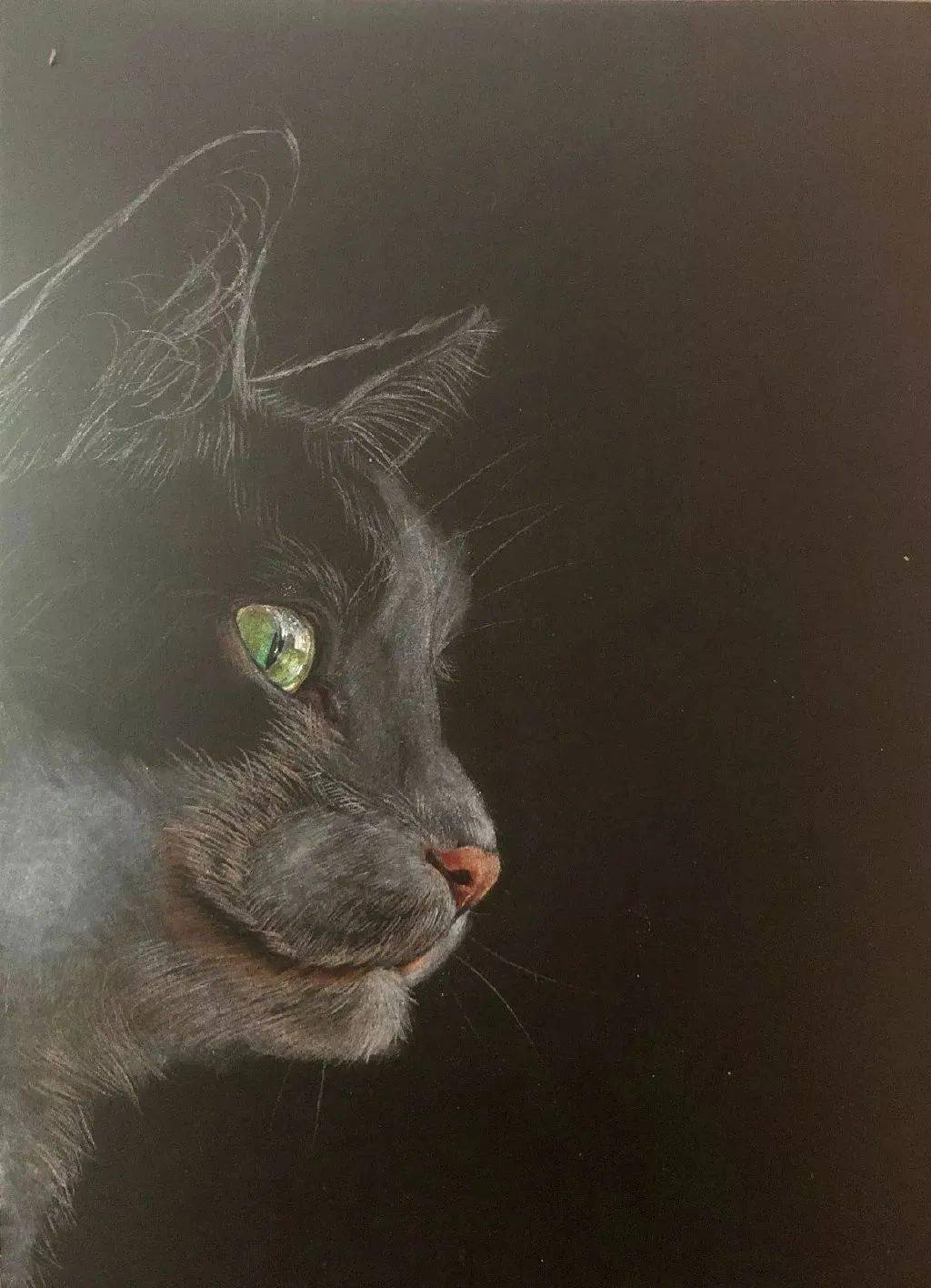 彩铅步骤黑色卡纸上画彩铅这个效果太棒了