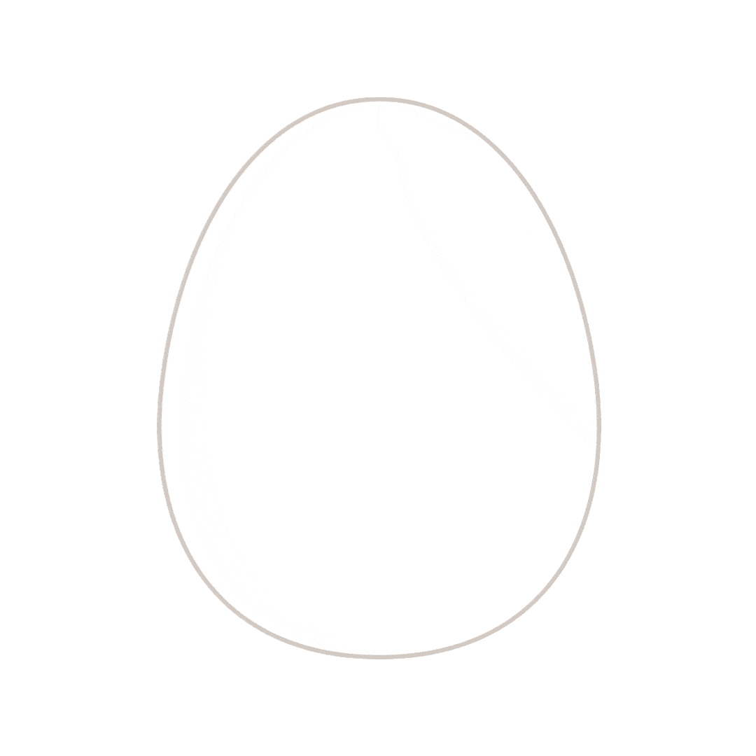 鸡蛋破壳动图图片
