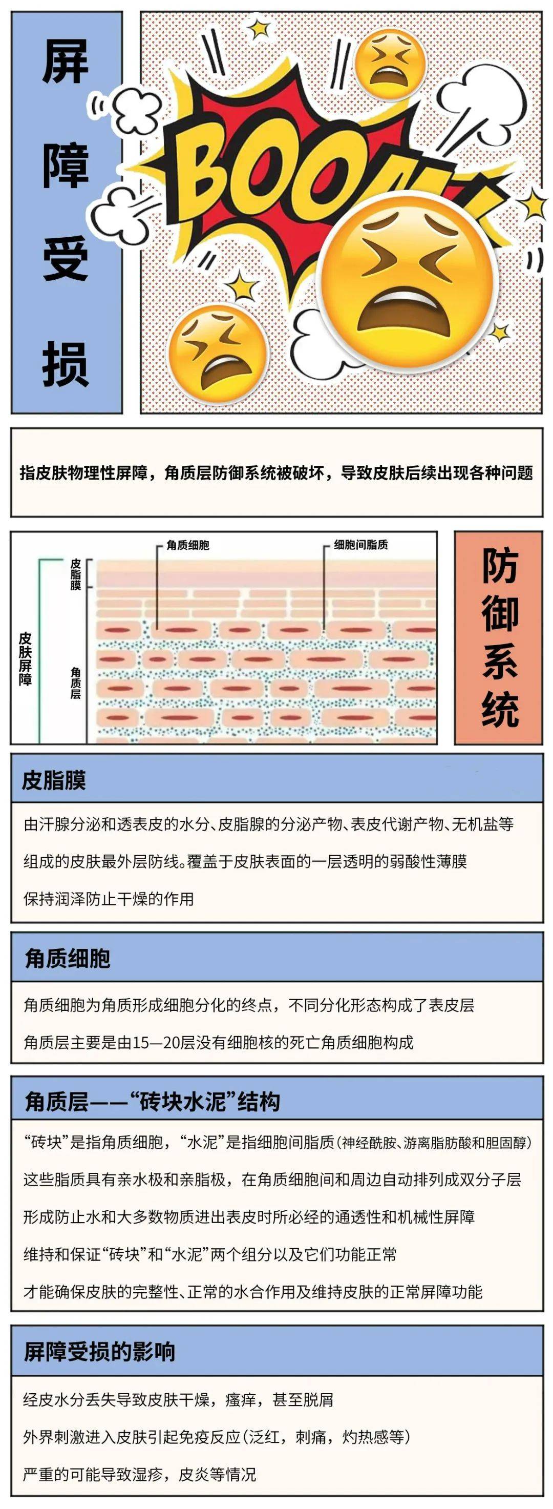 天天都说皮肤屏障受损你真的了解吗