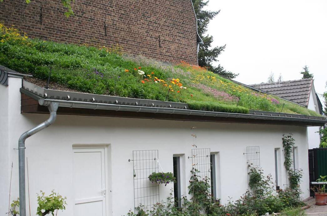 外延屋顶,种花当院子用,这方面确实没有人比外国人更奇思妙想了_平台