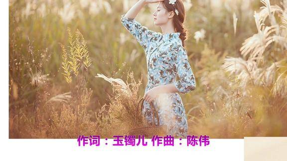 心情不错陈瑞尘埃里的花