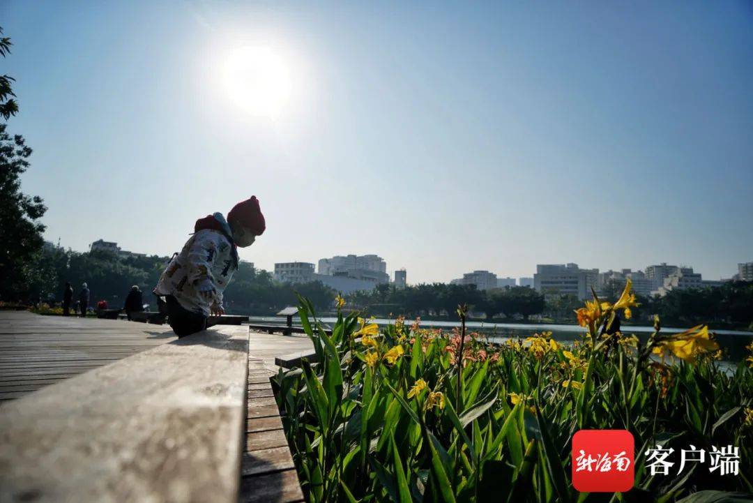 海南下雪今夜最冷接地氣的官方來回應了