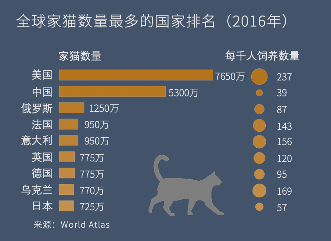 流浪动物数据图图片