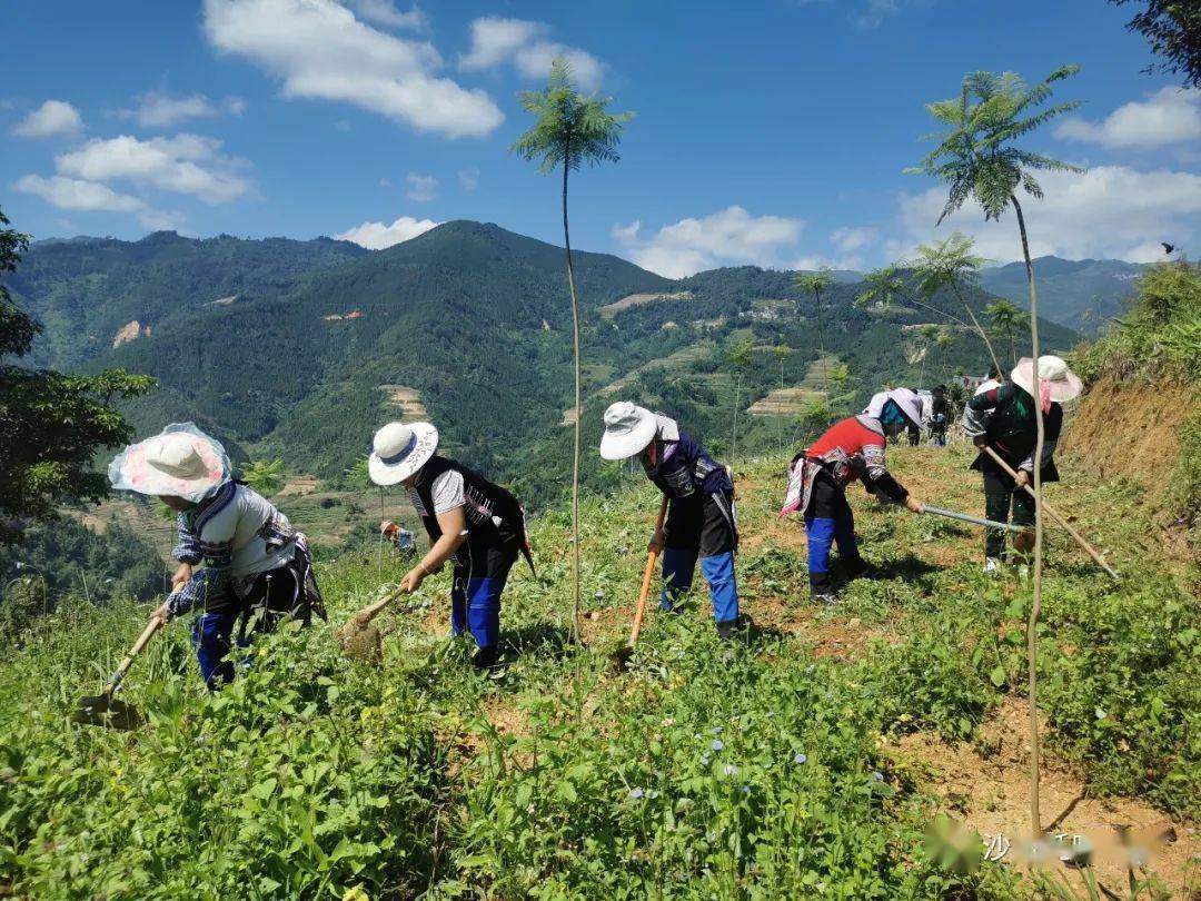 致沙拉托乡不平凡的2020文末有惊喜