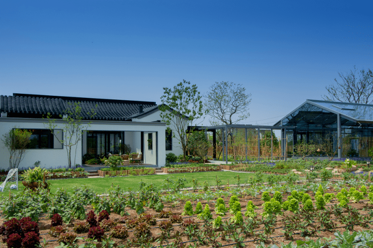 淄博雅园当一座小镇承得起一座城三千年的气韵