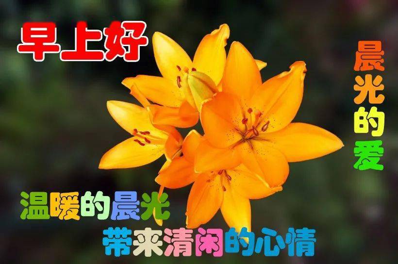 1月13日最漂亮早上好動態表情圖片大全,早晨好美圖大全