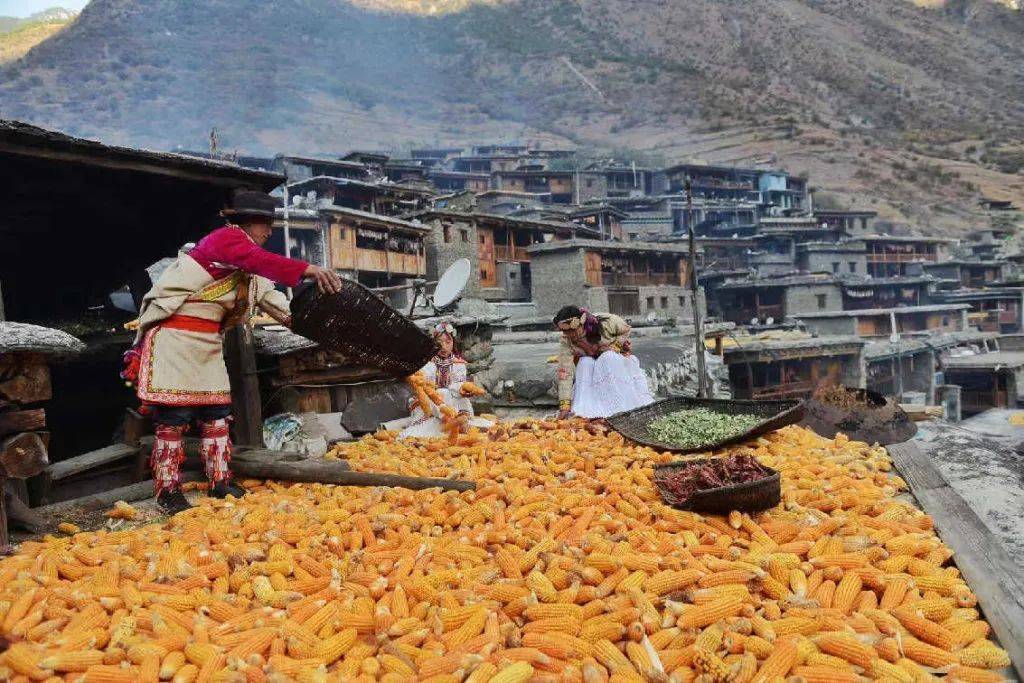 雨城区碧峰峡镇后盐村 雨城区草坝镇范山村 雨城区望鱼镇望鱼村 阿坝