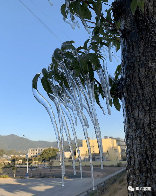 新铺的落霜大垦,你那里落了吗?