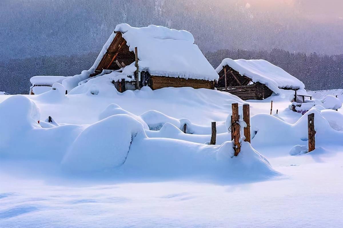 在寒冬里用思念取暖