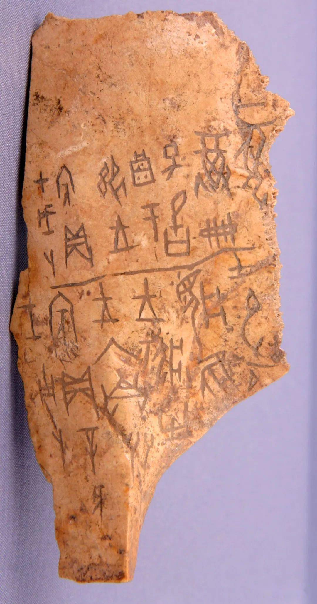 内容摘要:中国国家图书馆所藏甲骨数量极为丰富,《甲骨文合集》和