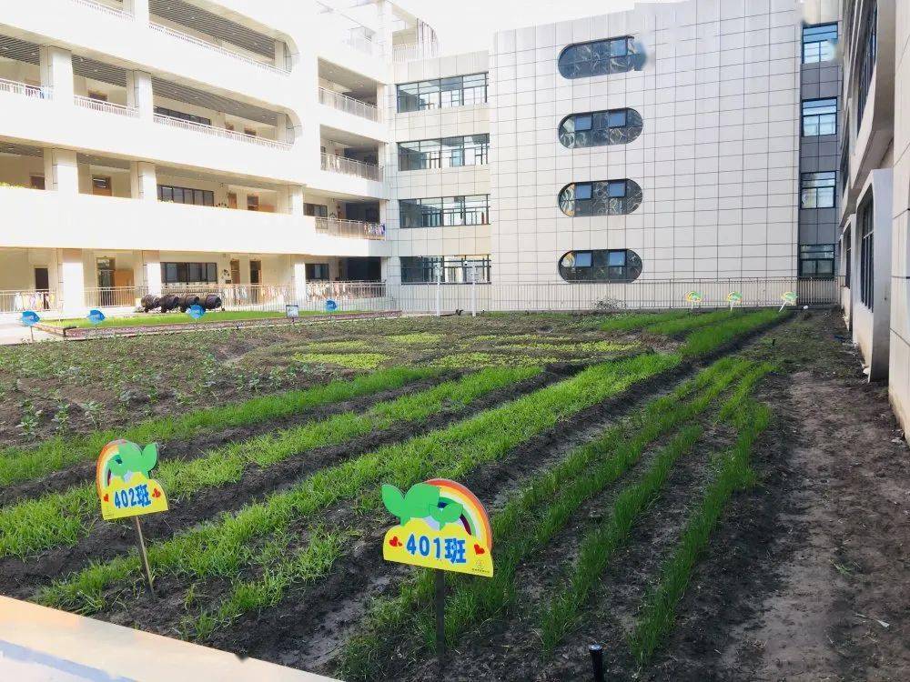 当"暖园"开满了花,我亲手为你摘下~智慧农场,在滨江校园开花结果