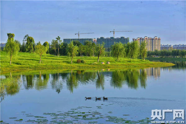 兰考:开创水生态文明建设新格局 河湖相连润"红城"