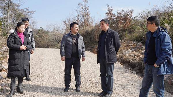 茹捷深入大地乡调研产业项目发展情况