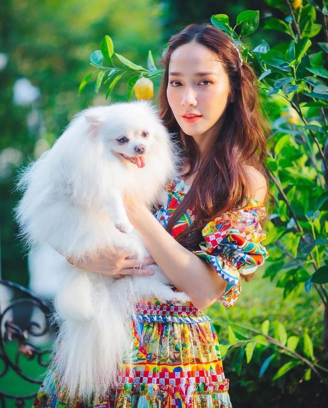 咦怎么肥事,这9位的名号还挺贴合(时事)呢?_janey