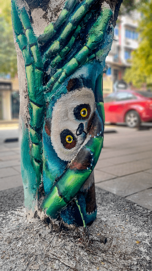 都画上了极具创意的3d彩绘沿河一颗颗大树的树干上全程长750米滨河路