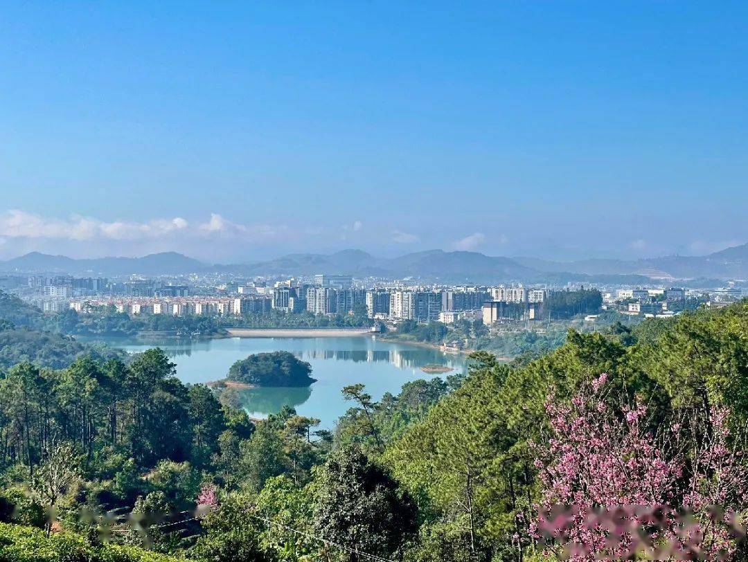 如沐春风—冬游思茅看看冬之风景吧!